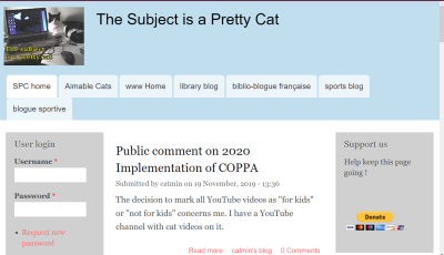 The subject is a pretty cat